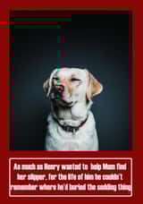dog mum Card 35048 created by Oh So Cheeky