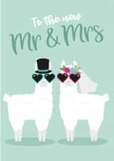 Lama green wedding card created by Tiger Feet Creations