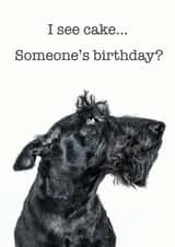 Cute Birthday Card - I See Cake... - Dog created by GRUFFPAWTRAITS