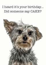 dog cake Birthday Card 14729 created by GRUFFPAWTRAITS