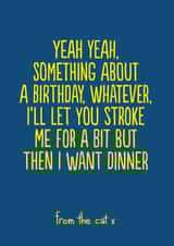 yeah something Birthday Card 14100 created by The Buddy Fernandez Card Co.