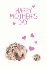 hedgehog spikey Mothers Day Card 32763 created by Olivia Morgan ltd