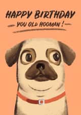 pug dog Card 37753 created by Pugs and Stuffs