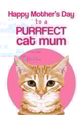 purrfect cat Mothers Day Card 2264 created by Pet Friendly