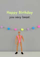 birthday funny Birthday Card 11501 created by Bold & Bright Cards