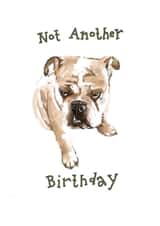 dog bulldog Birthday Card 33164 created by Elsa The Snaggletooth