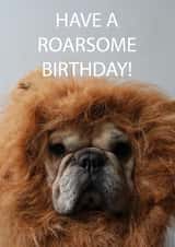 frenchie bulldog Birthday Card 14095 created by Sofia Wåhlin