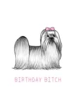 bitch bichon Birthday Card 13381 created by Beth Goodwin