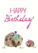hedgepig hedgehog Card 32767 created by Olivia Morgan ltd