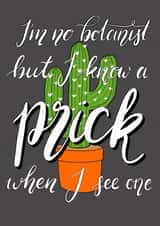 funny cheeky Card 39790 created by Chloe Jasmine