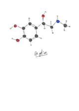 adrenaline science Card 30399 created by Katie-Lu