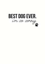 dog pet Sympathy Card 5765 created by Open Space Collective