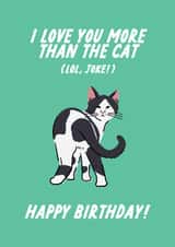 Love you more than the cat funny Birthday card, Pet Owner created by The Marmalade Cat