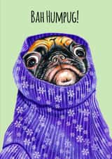 Funny Pug Christmas Card 1000 created by sarahcoxartwork