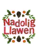 cymreig nadolig Card 40183 created by Cardiau Cymraeg