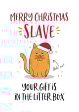 cat pet Christmas Card 14427 created by Beehive Design