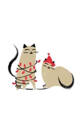 Two cats Christmas Card for cat lovers — Fancy dress cats — cat couple created by Purpose & Worth etc