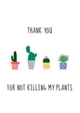 cactus illustration Thank You Card 7765 created by Lou La La