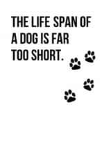 lifespan short Sympathy Card 5766 created by Open Space Collective