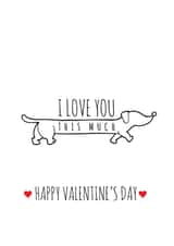 sasuage adult Valentines Day Card 37662 created by Coco Loco Boutique