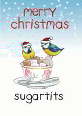 sugartits birds Christmas Card 14557 created by Blair