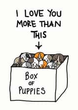 adult box of puppies Valentines Day Card 9834 created by Cat Flap Cards