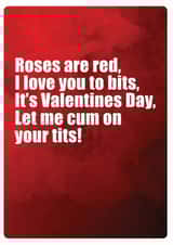 Valentinesday Valentines Card 38859 created by turds of wisdom