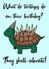 Cute Birthday Card - Tortoise - Pun created by Lucy Sneddon