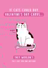 Funny Grumpy Cat Valentine's Day Card created by Inky in the Wild