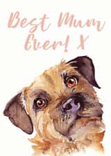 Cute Mothers Day Card - Mum - Dog - Best Mum Ever created by Jo Scott Art