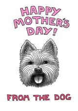 westie terrier Mothers Day Card 1946 created by Off The Leash Cartoons by Rupert Fawcett