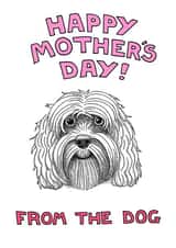 cockapoo adult Mothers Day Card 1947 created by Off The Leash Cartoons by Rupert Fawcett