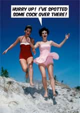 Rude Valentines Day Card - Vintage - Hurry Up! I've Spotted Some Cock Over There created by Dean Morris Cards