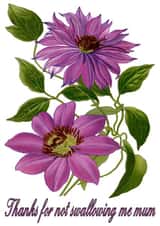 thanks for not Mothers Day Card 40495 created by Cairn Newton