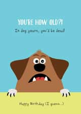 how old dog years Birthday Card 12495 created by Cloud 9 Design