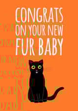 cute animal Congratulations Card 16398 created by Quirky Little Planet