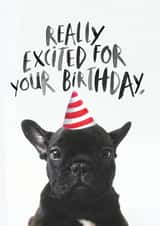 frenchie dog Birthday Card 15561 created by JOLLY AWESOME