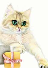 Card 24031 created by DECKLED EDGE LTD