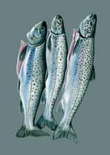 Card 24032 created by DECKLED EDGE LTD