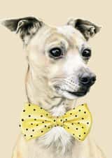 dog bowtie Birthday Card 24033 created by DECKLED EDGE LTD