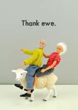 ewe adult Thank You Card 11544 created by Bold & Bright Cards