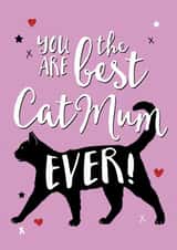 best everymumpetmum Mothers Day Card 32306 created by Jon Hall Design