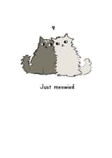 Cute grey cats just married created by Reigning Cats . . . and dogs