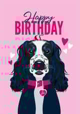 Cocker Spaniel Birthday Card from the Dog created by Diva Doodle Designs