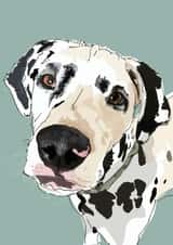 dalmatian pet Birthday Card 16834 created by Higgledy Pets