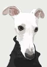 pet whippet Birthday Card 16835 created by Higgledy Pets