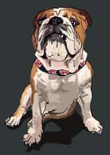 bulldog adult Just Because Card 16838 created by Higgledy Pets