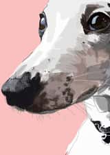 grey hound whippet Birthday Card 16841 created by Higgledy Pets