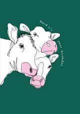 Herd it's your birthday created by Mor Creative