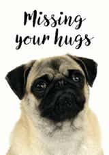 pug hugs Just because Card 9901 created by Jon Hall Design